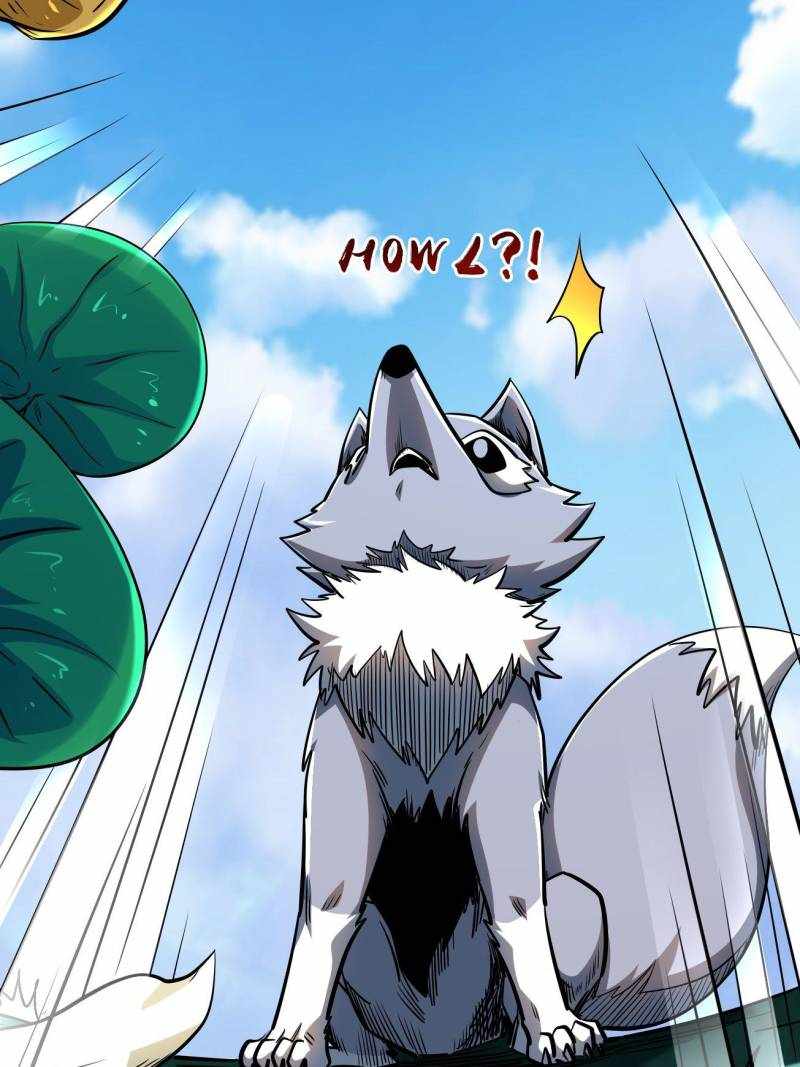 42