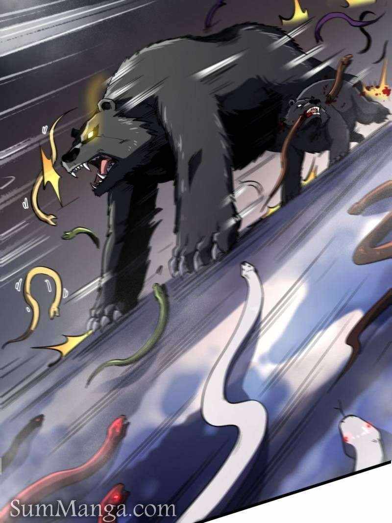 81