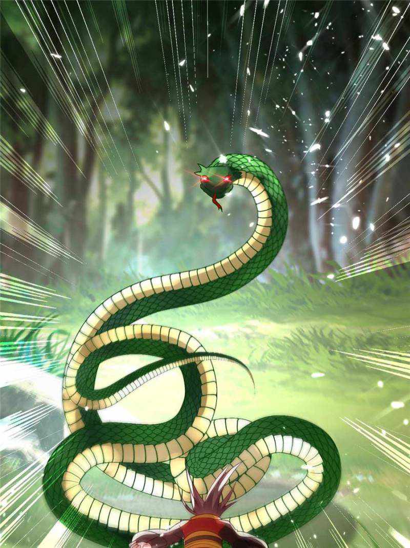 66