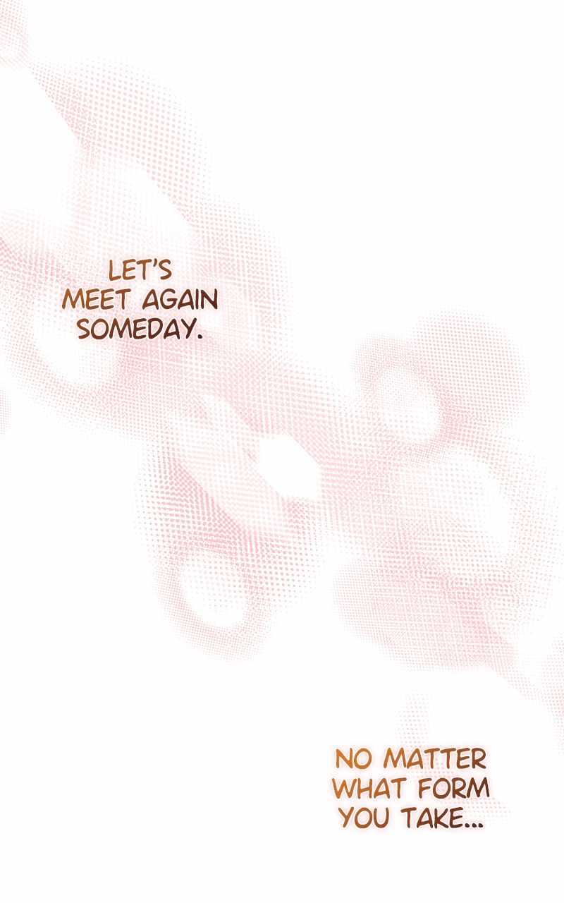 127