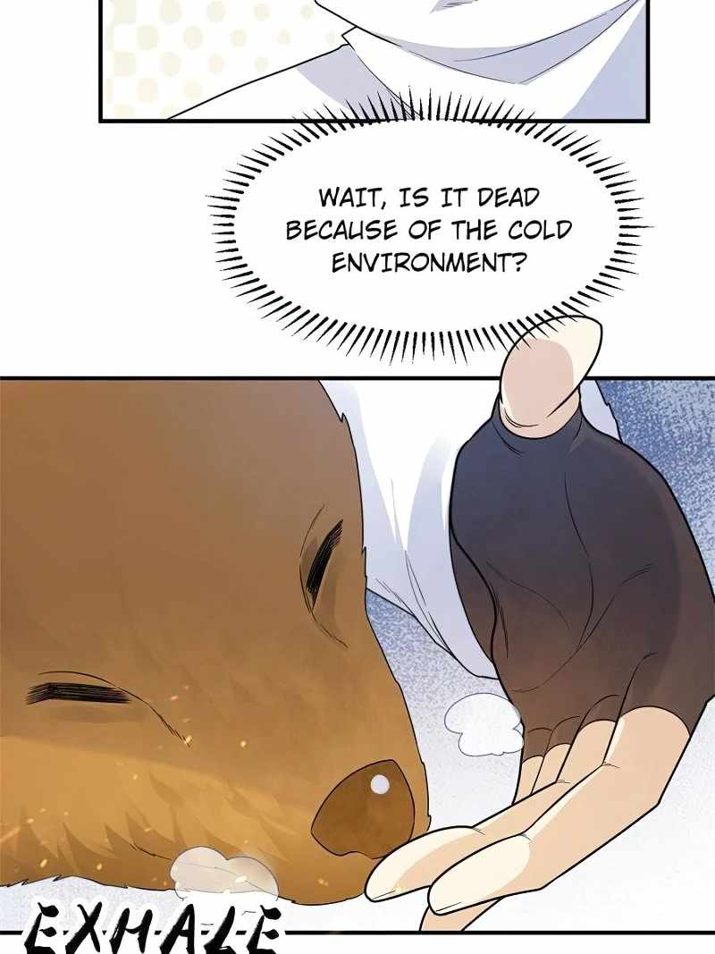 47