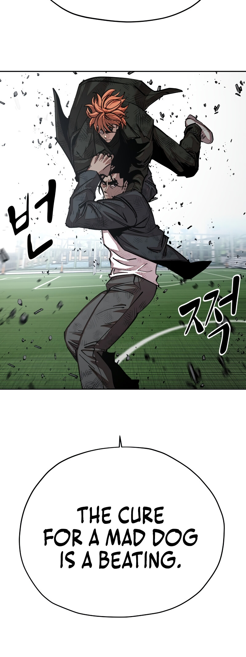 31