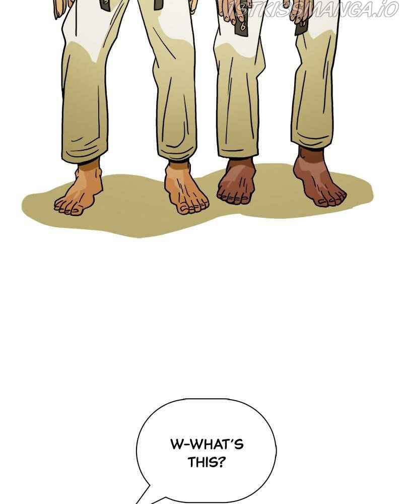 81