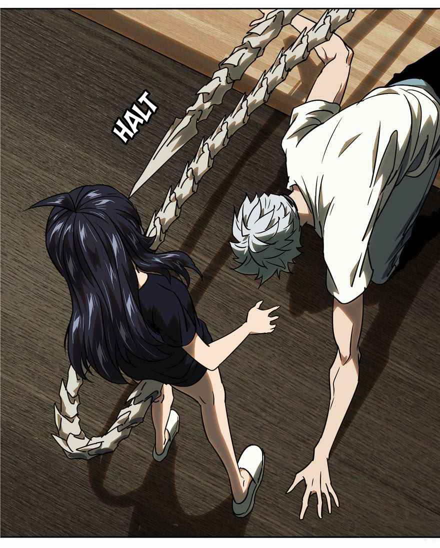33