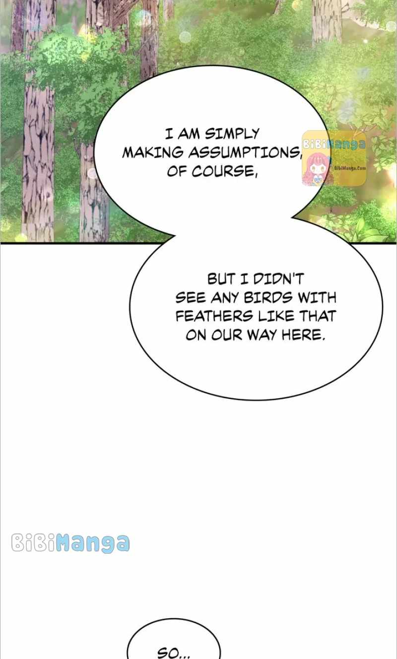 81