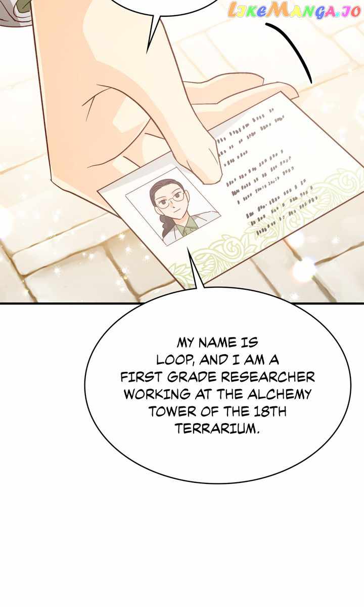 81