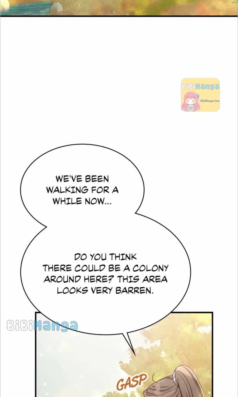81