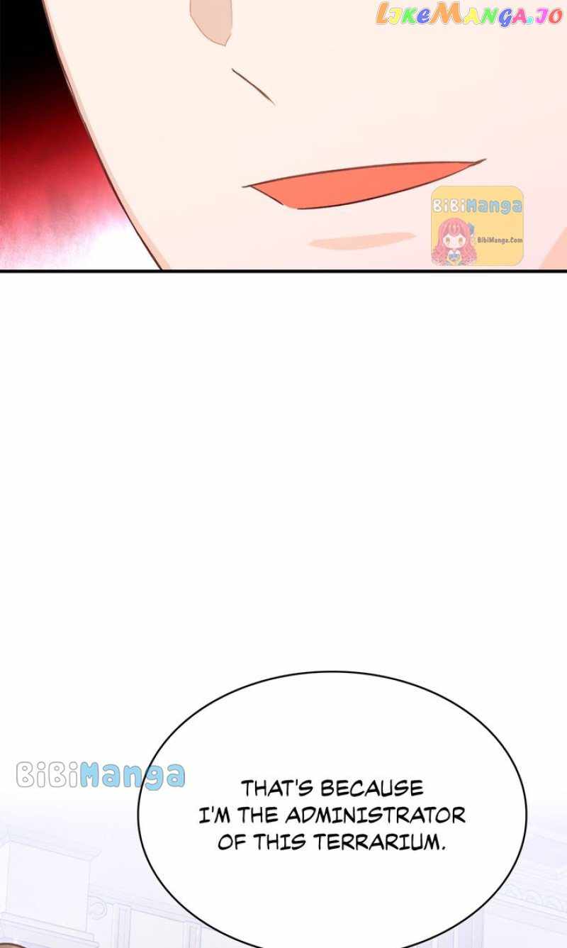 81