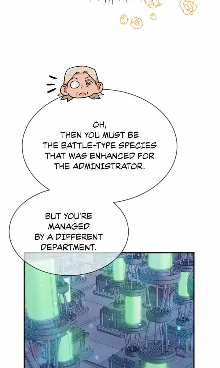 65