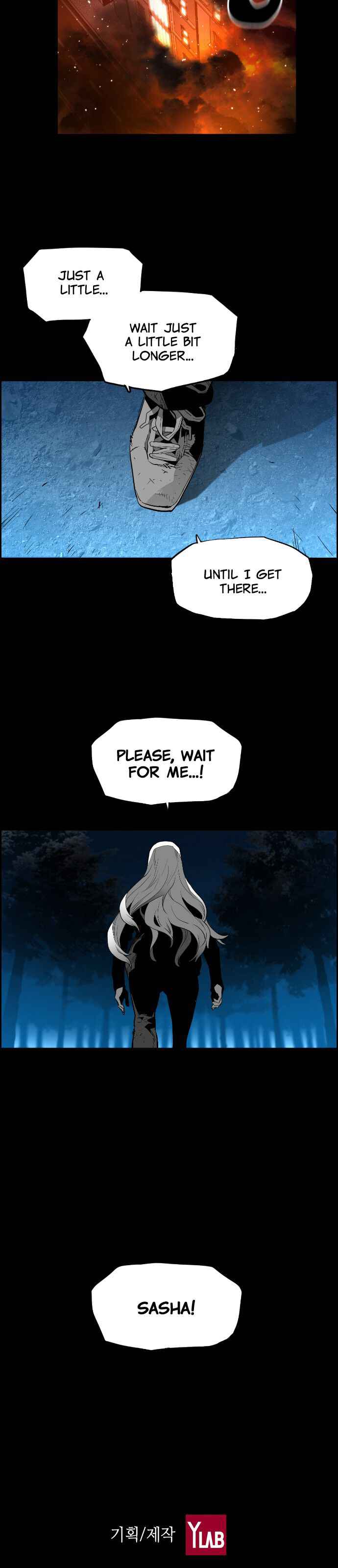 41