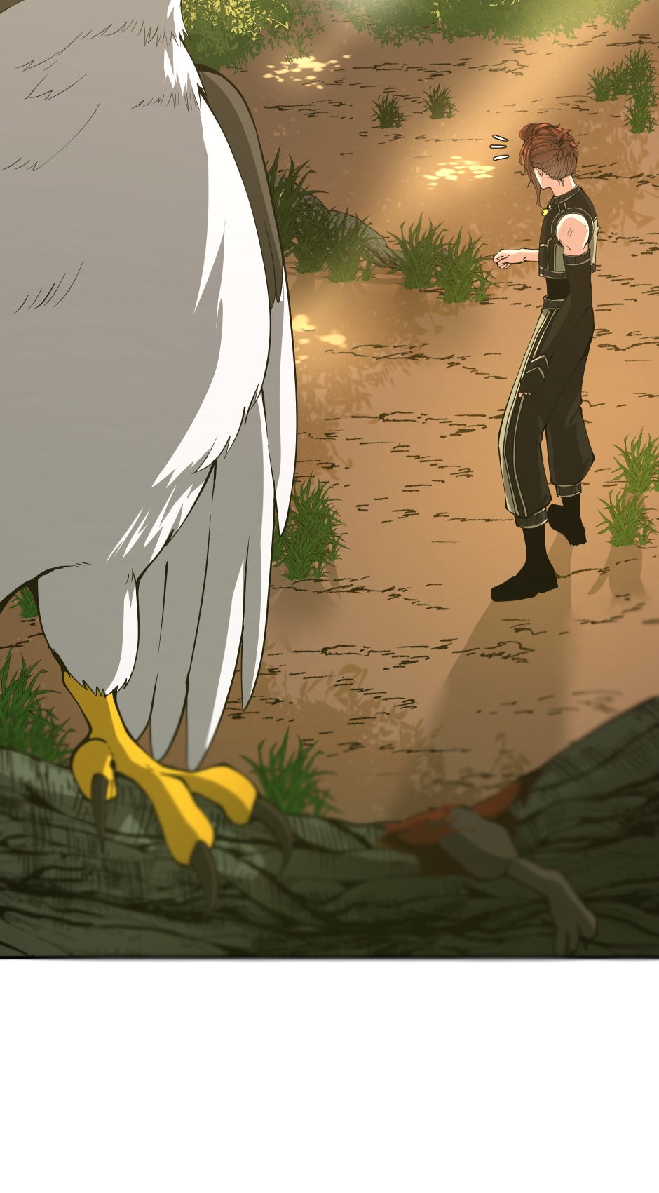 34