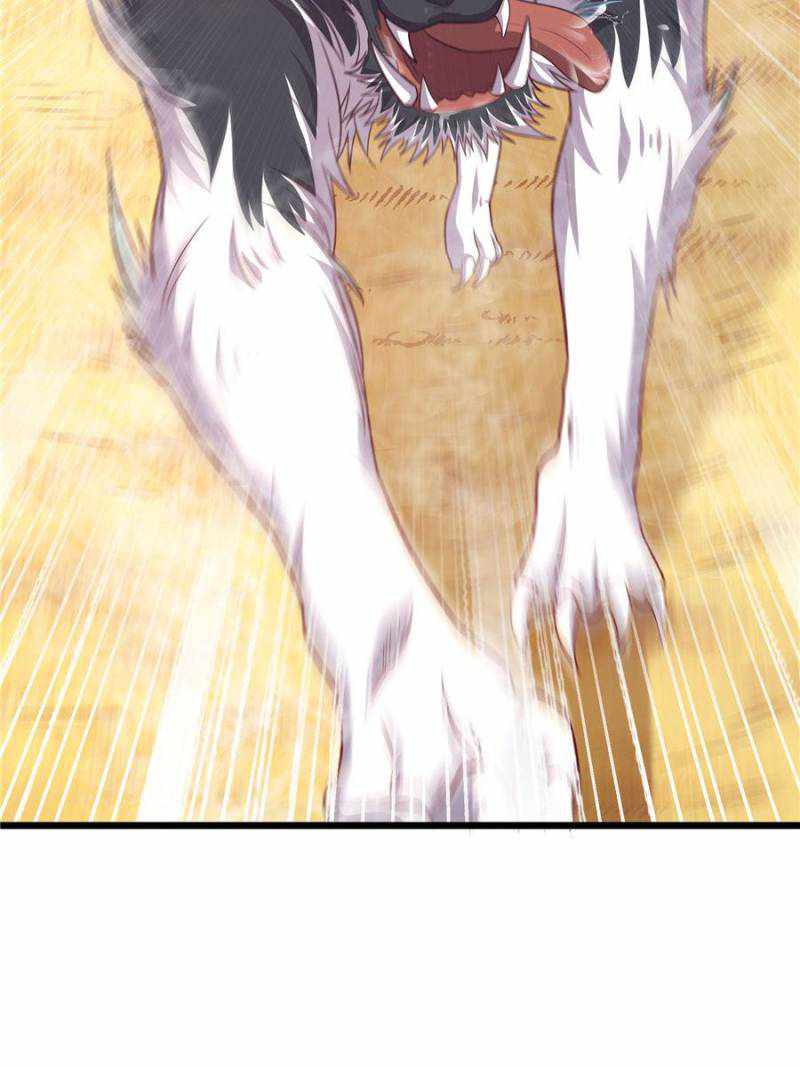 43