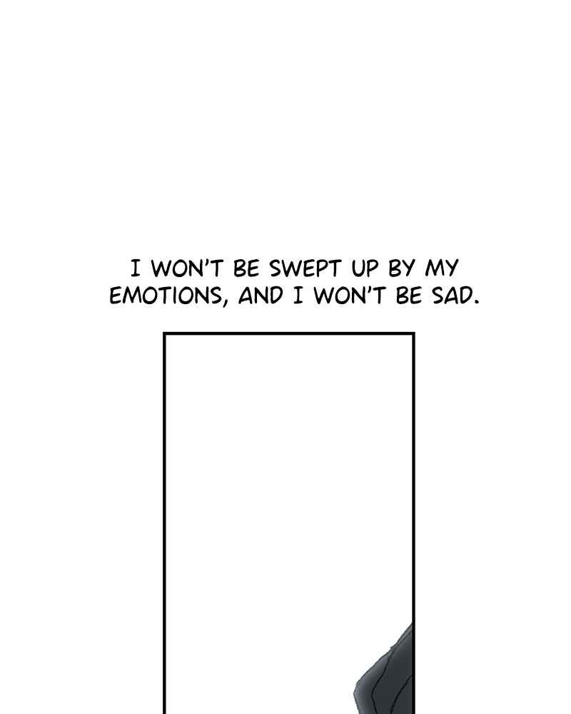 81