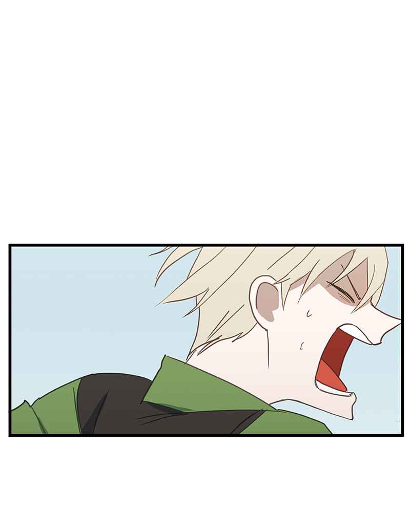 66