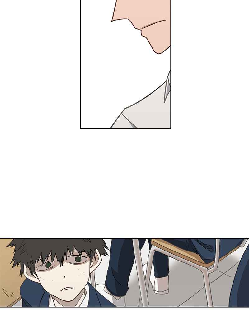 81