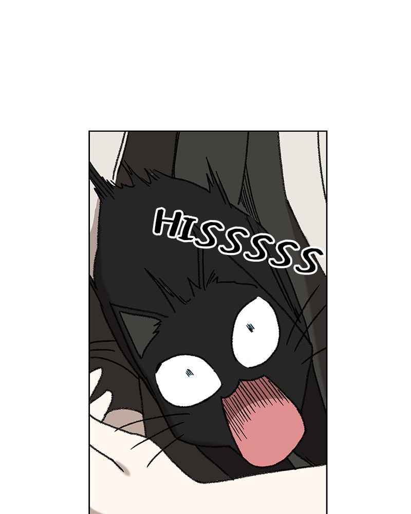 73