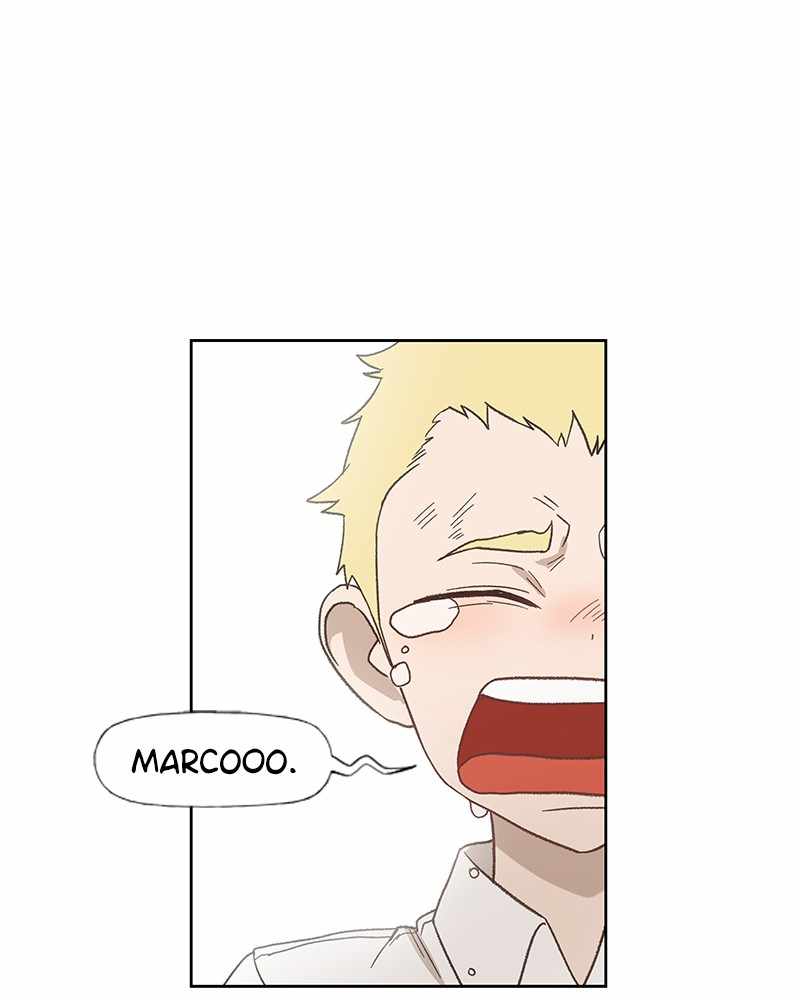 66