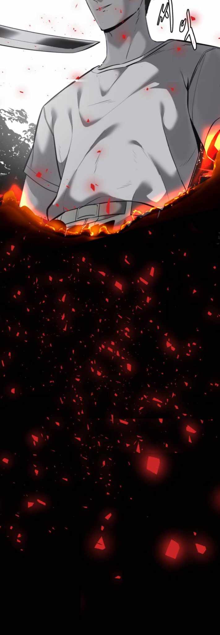 81