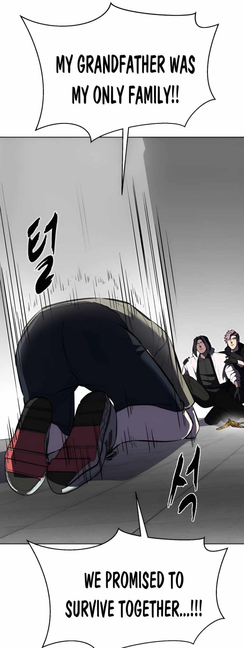 81
