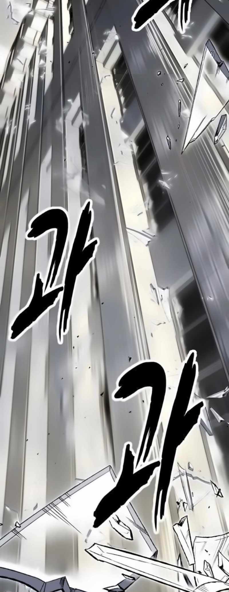 81