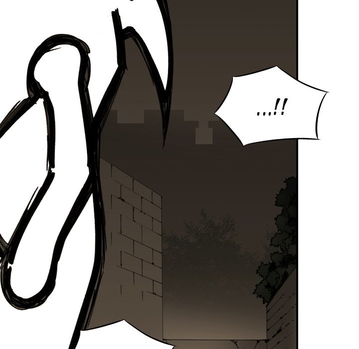 81