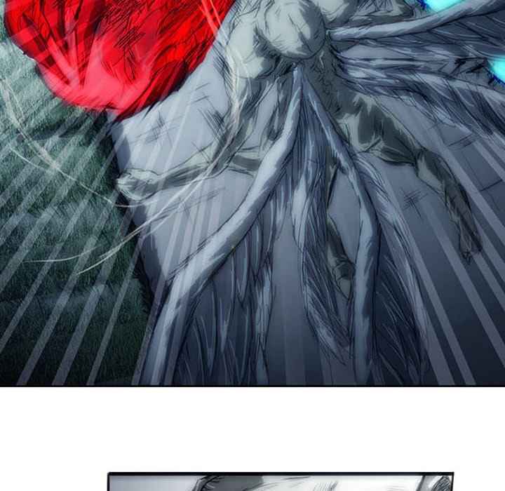 223