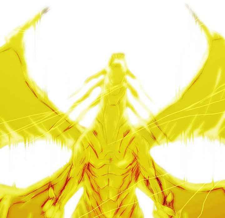 242