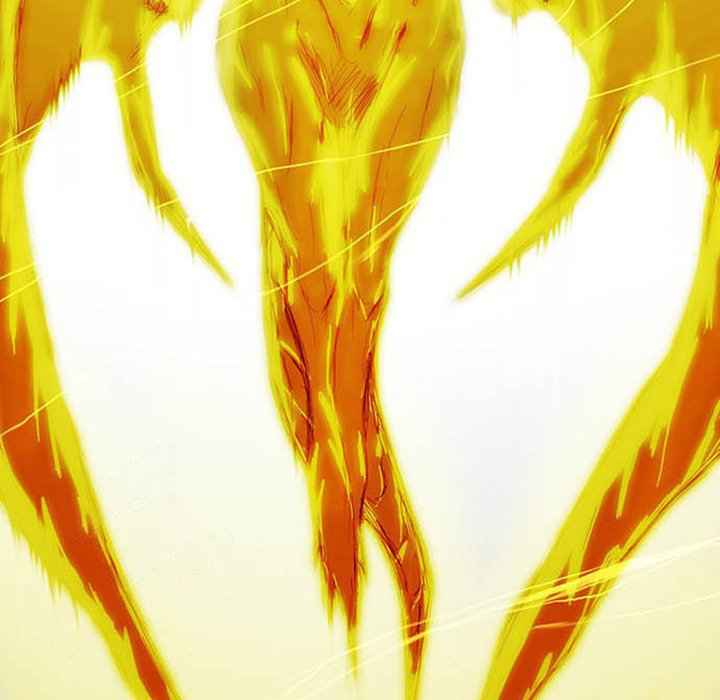243
