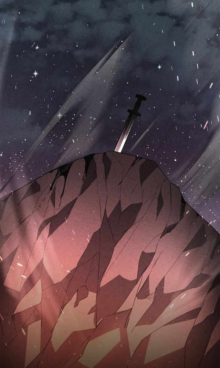 81