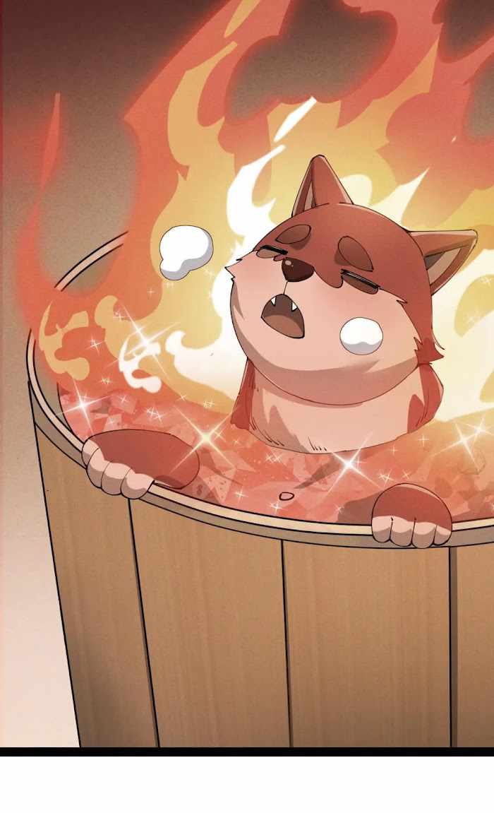 41
