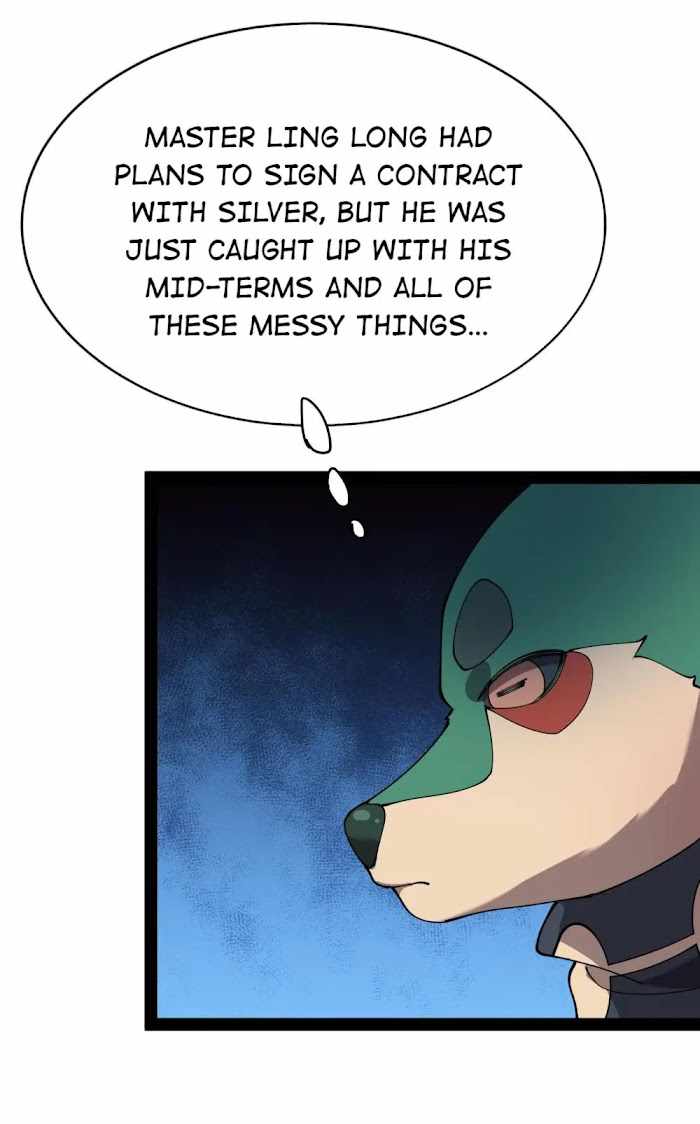41