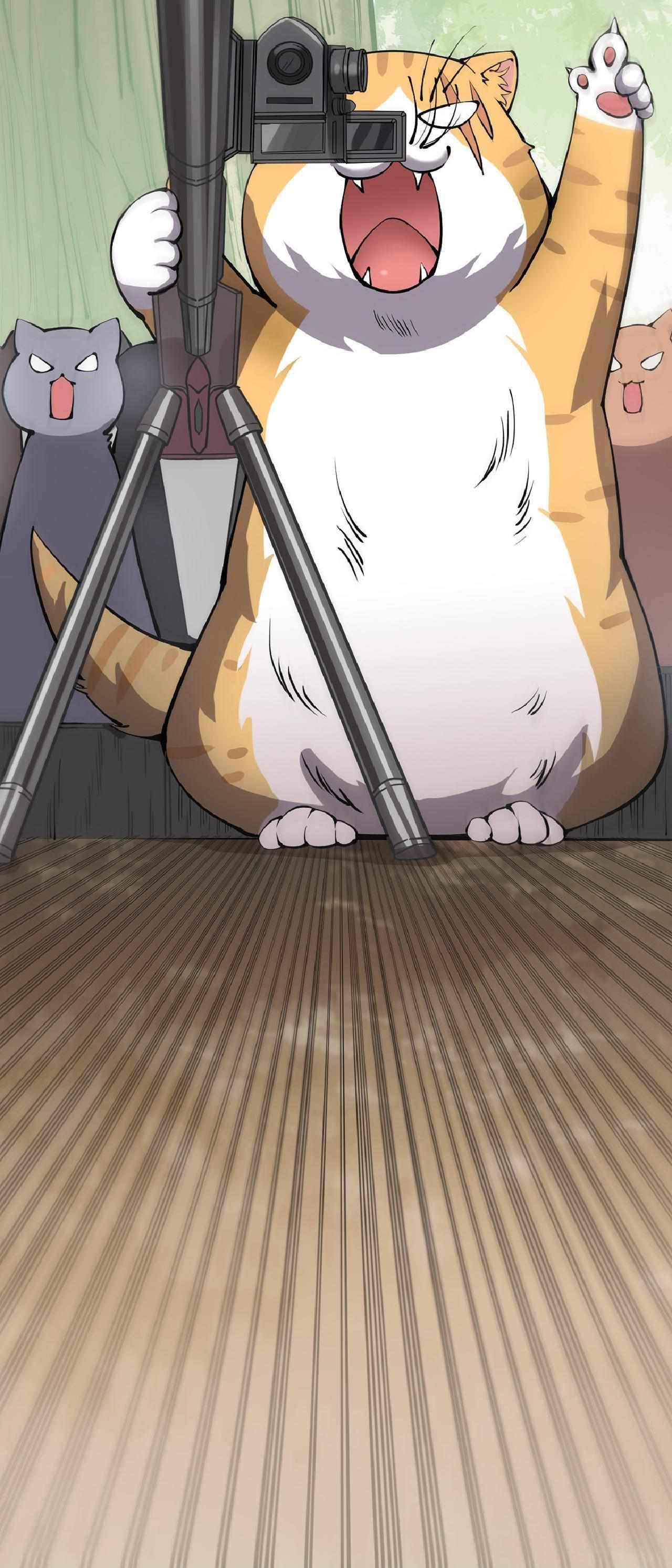 46
