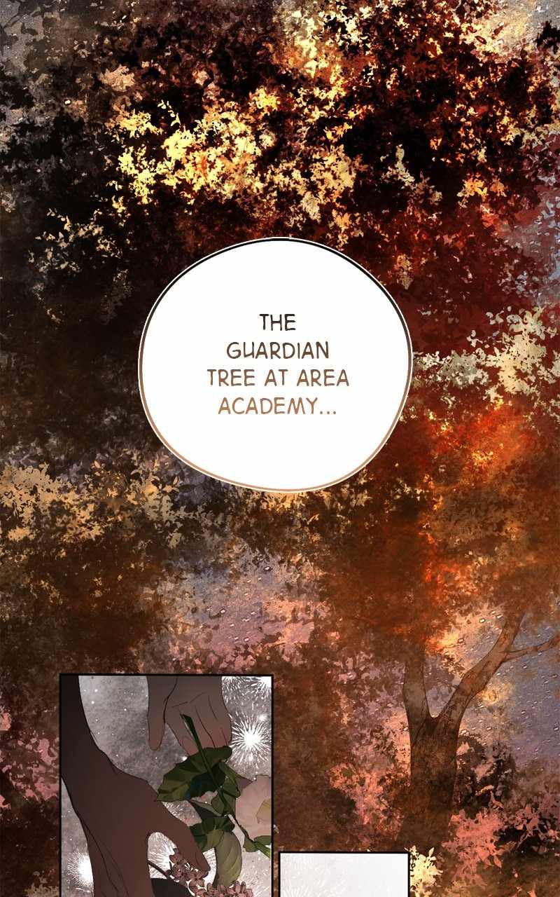 117