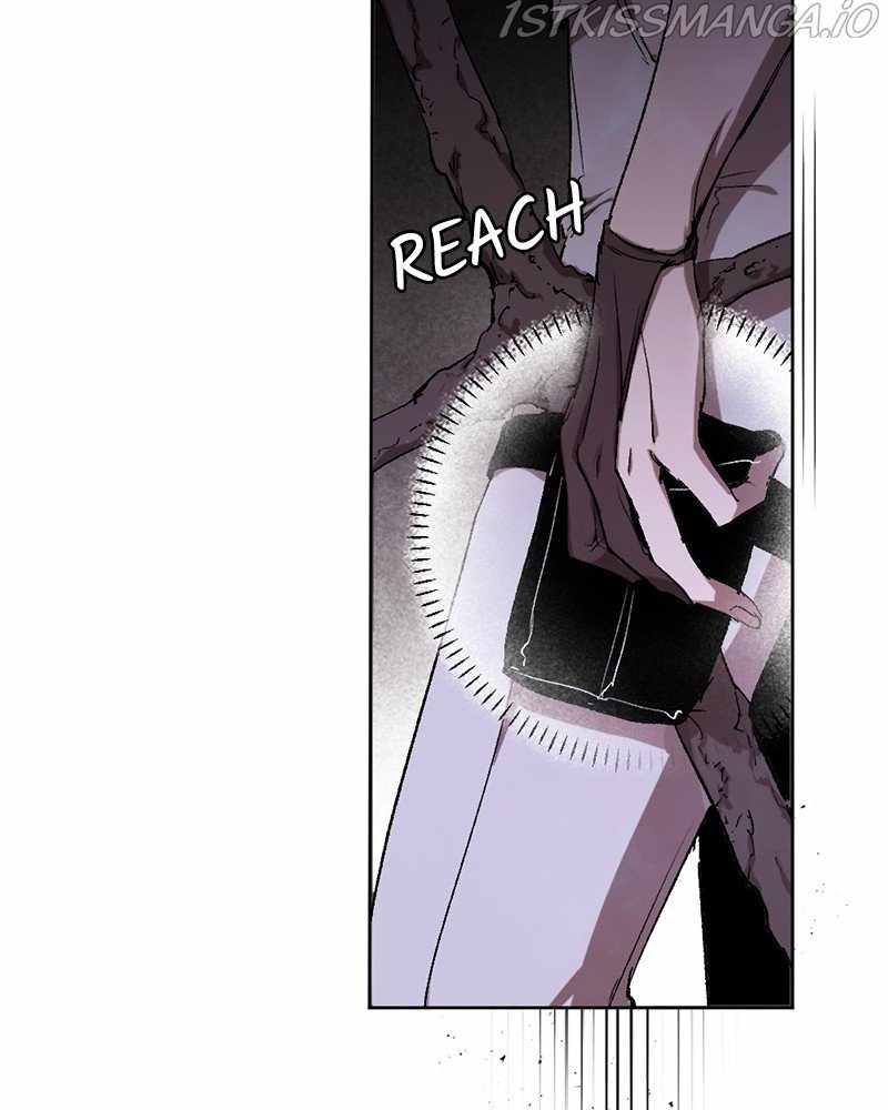81