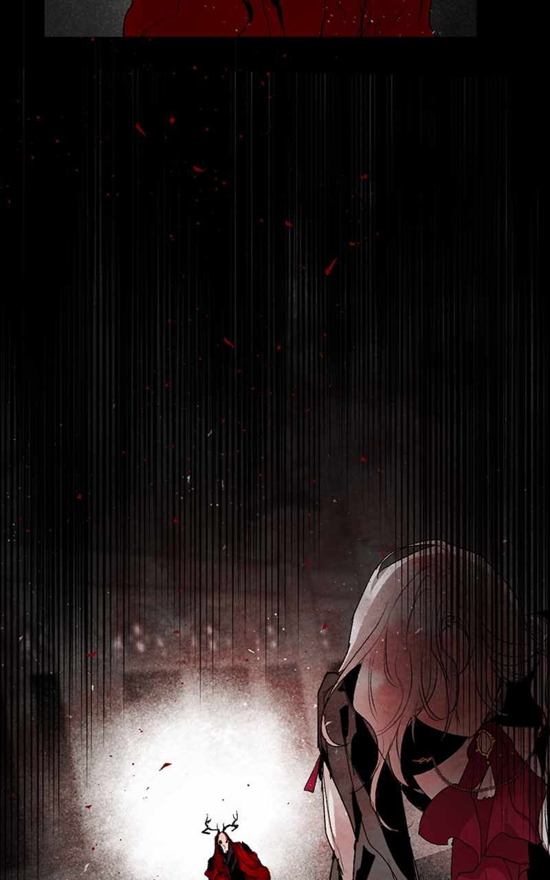 81