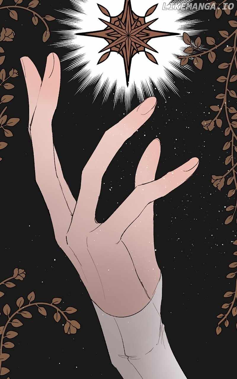 81