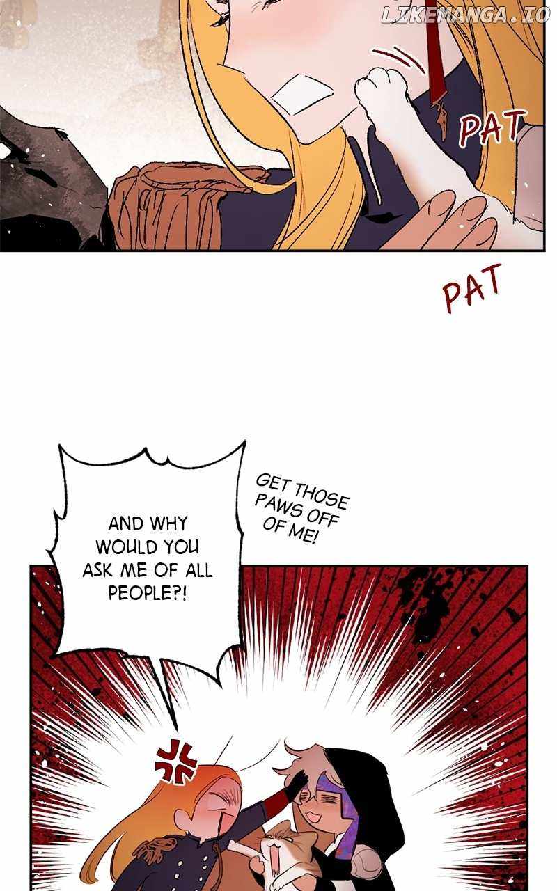 41