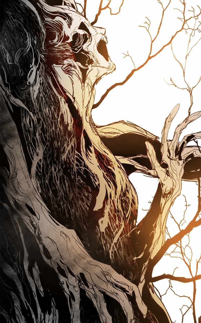 43