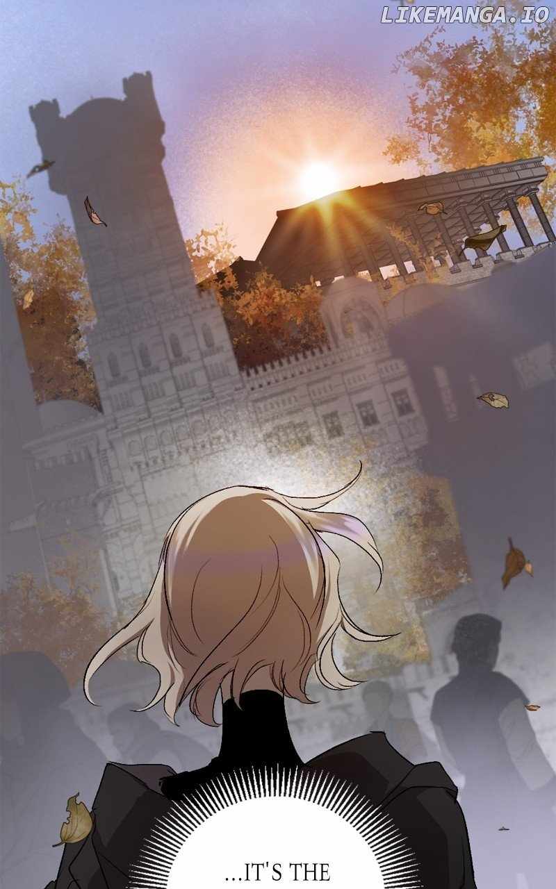 81
