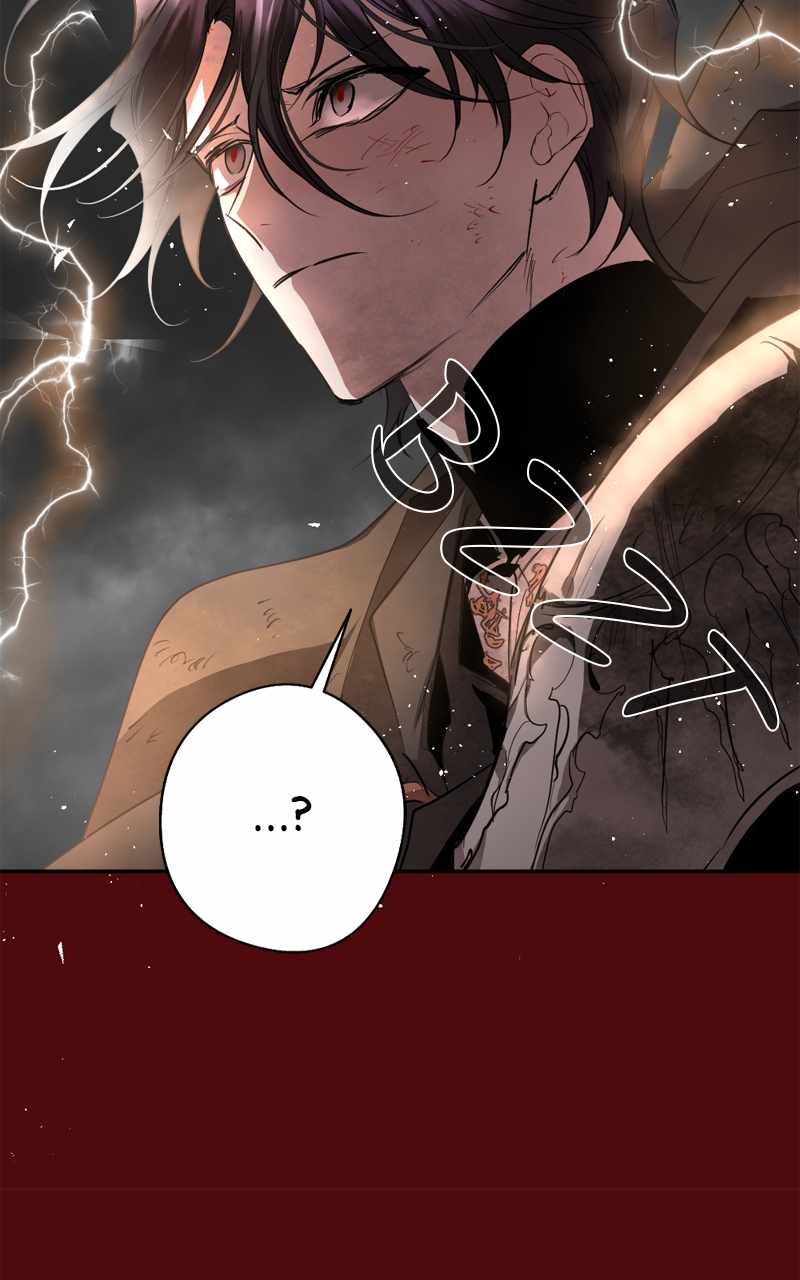 141
