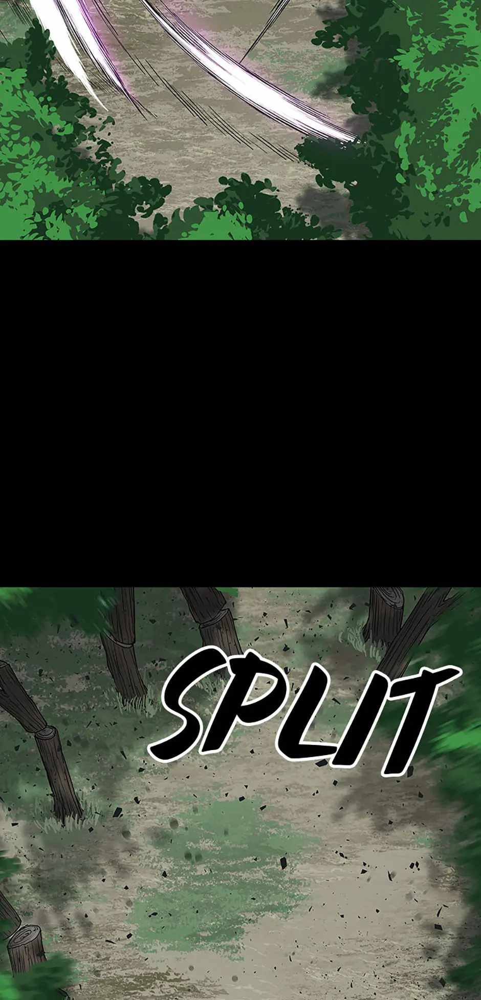 81