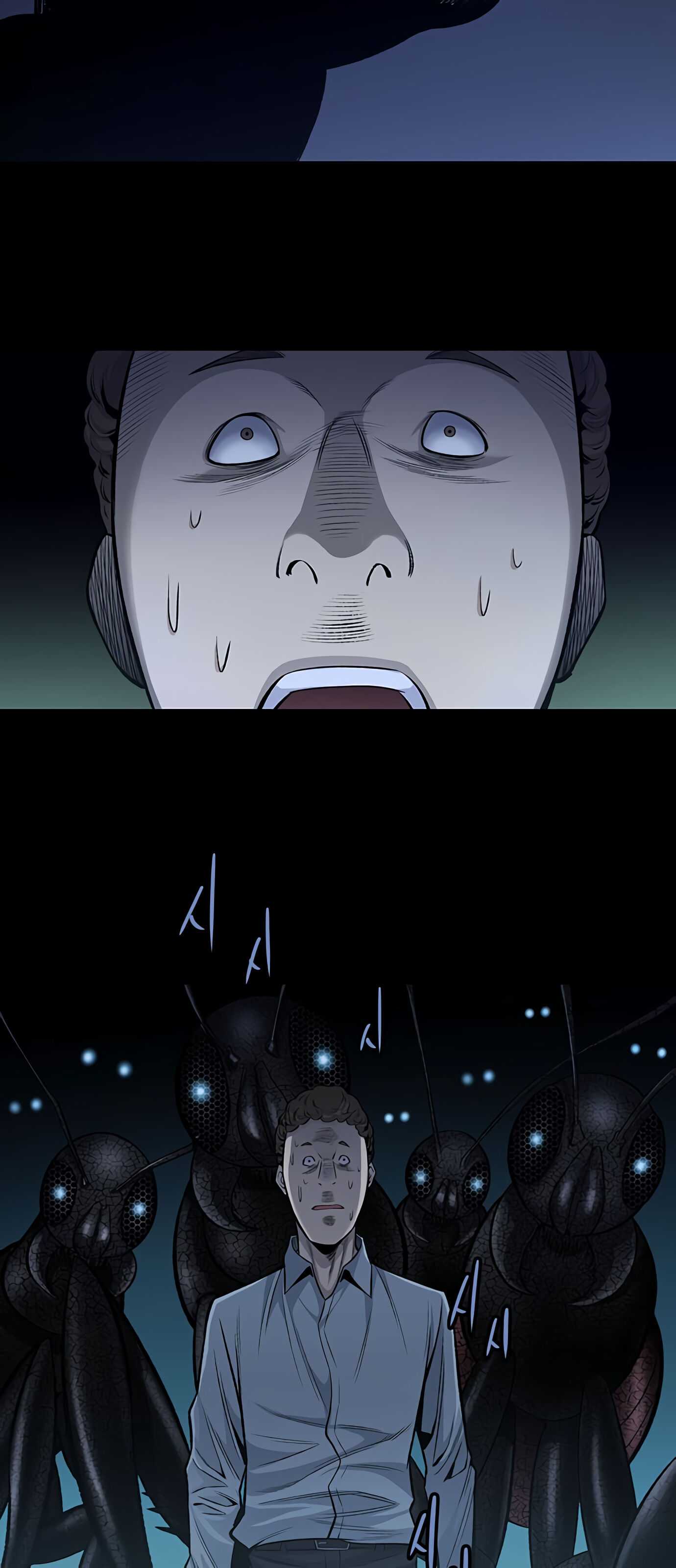 52