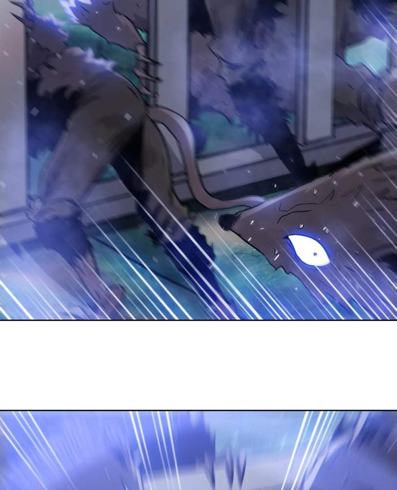81