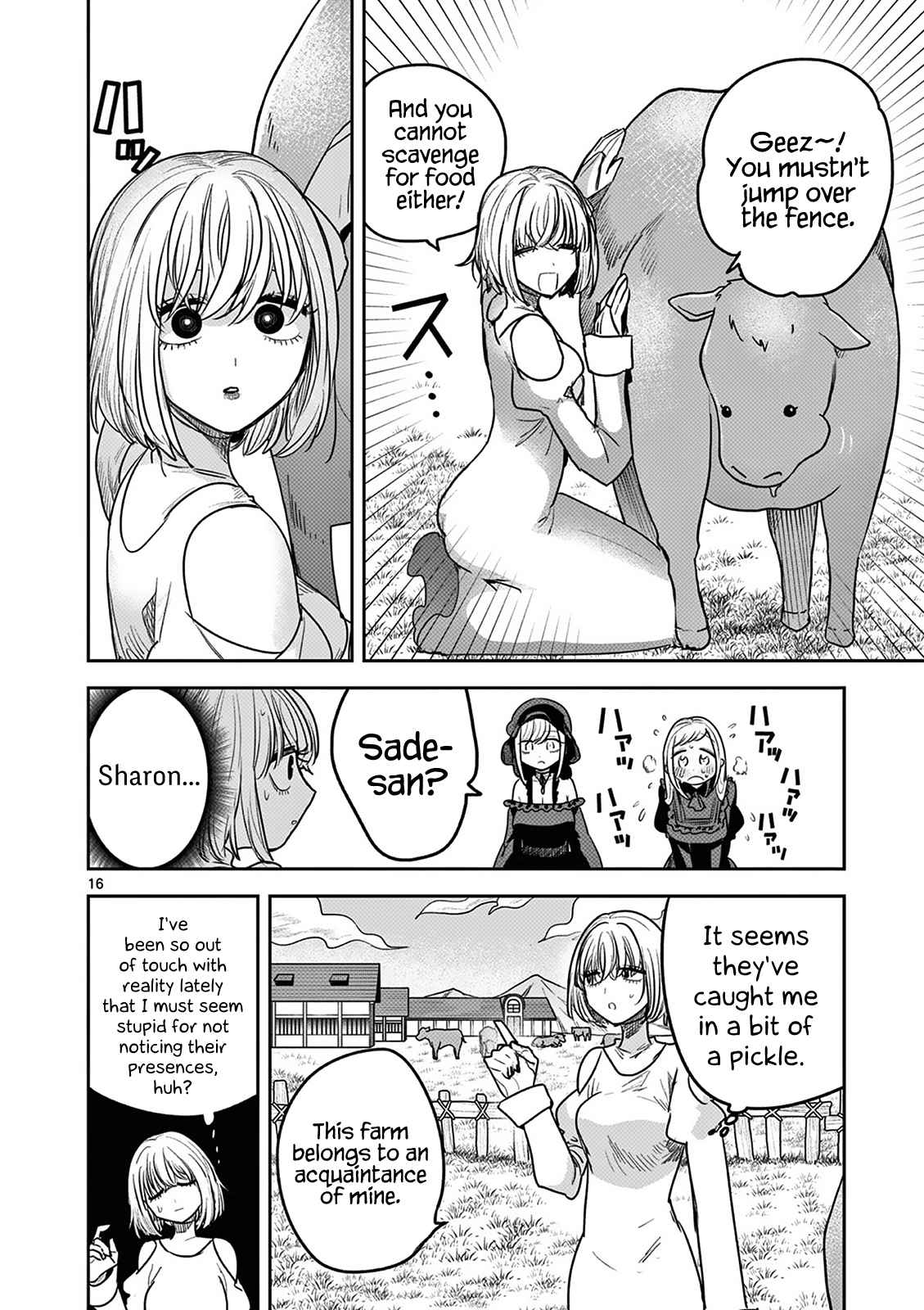16