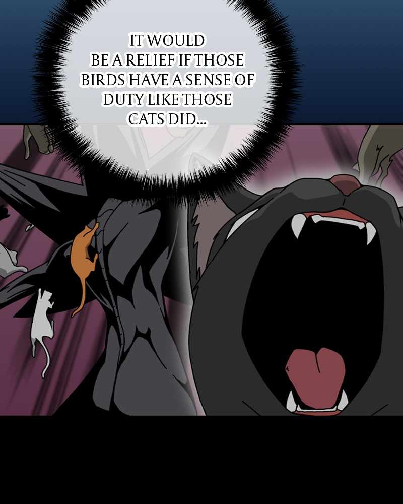 116