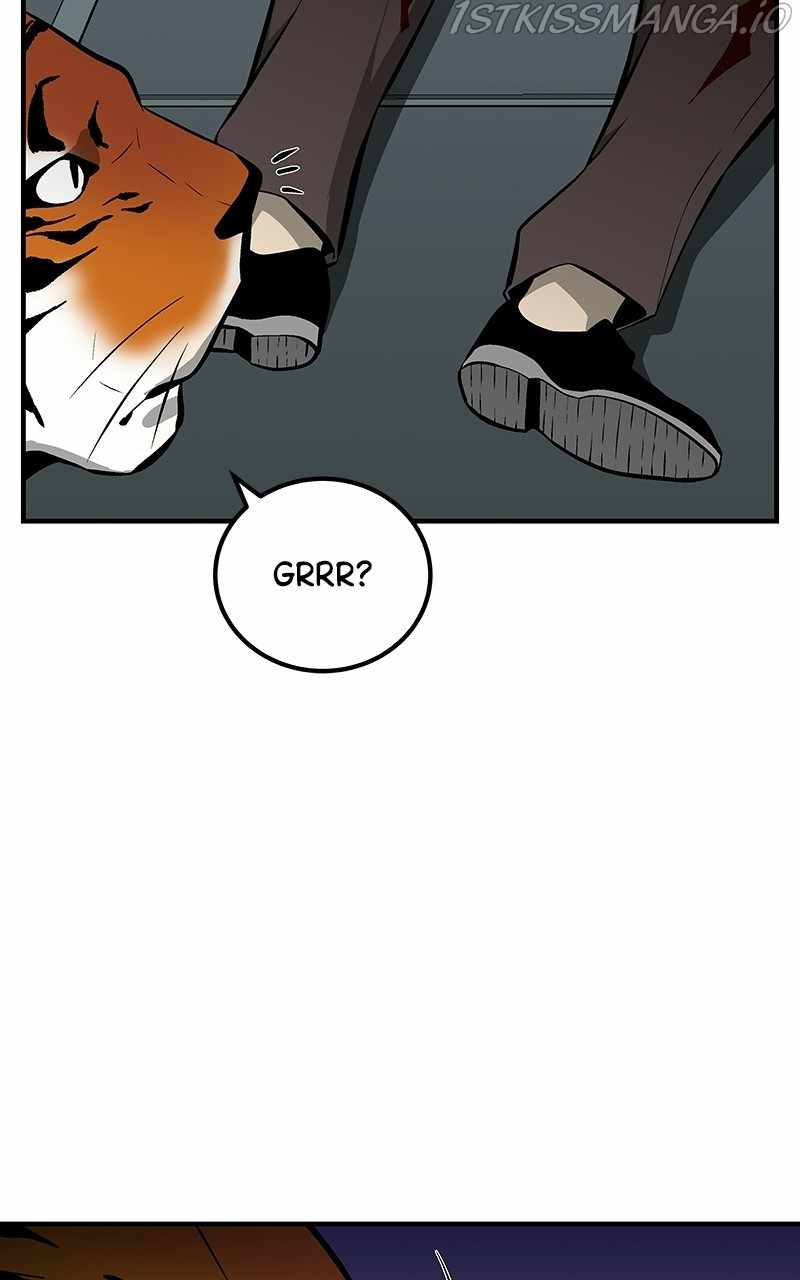 81