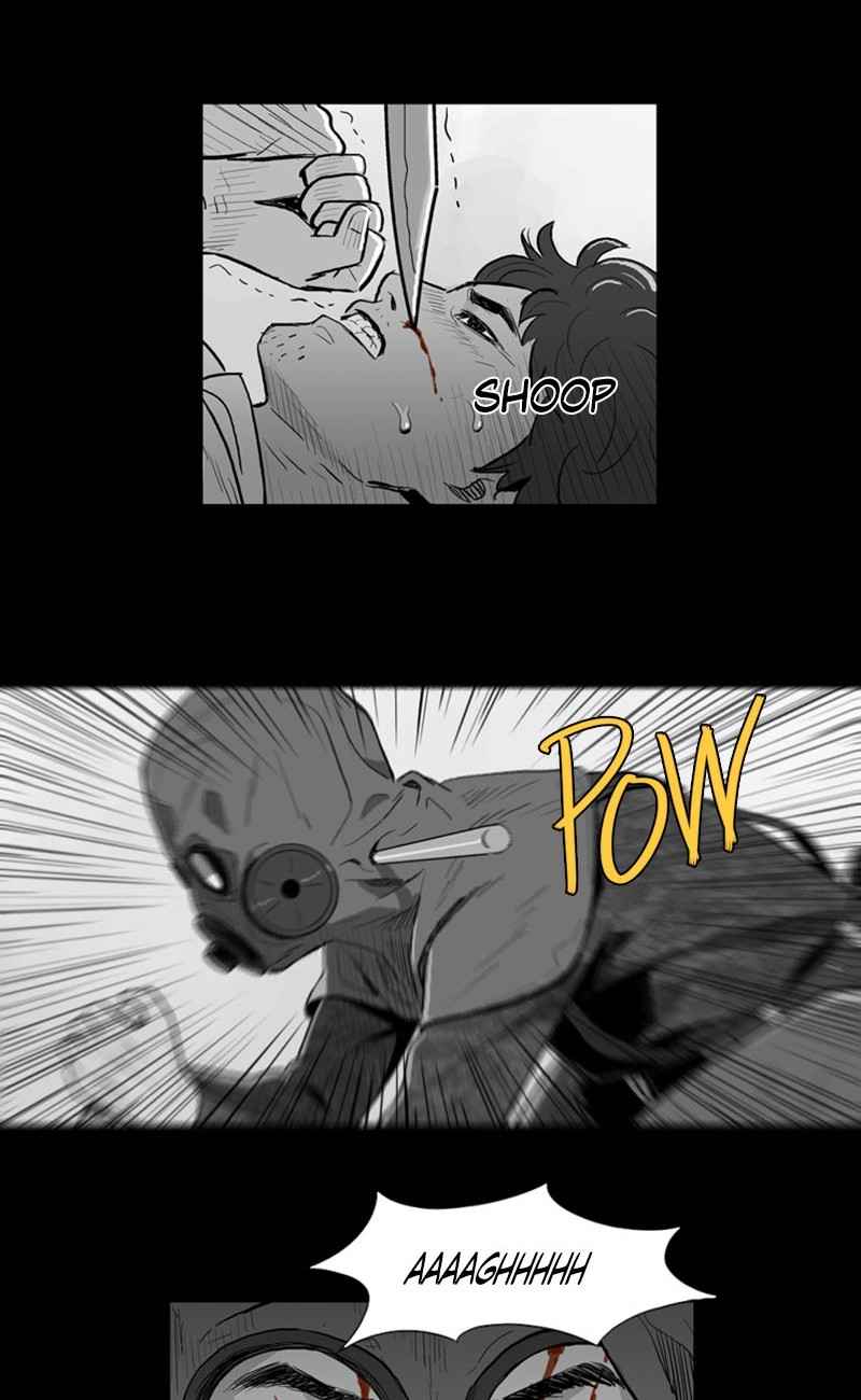 43