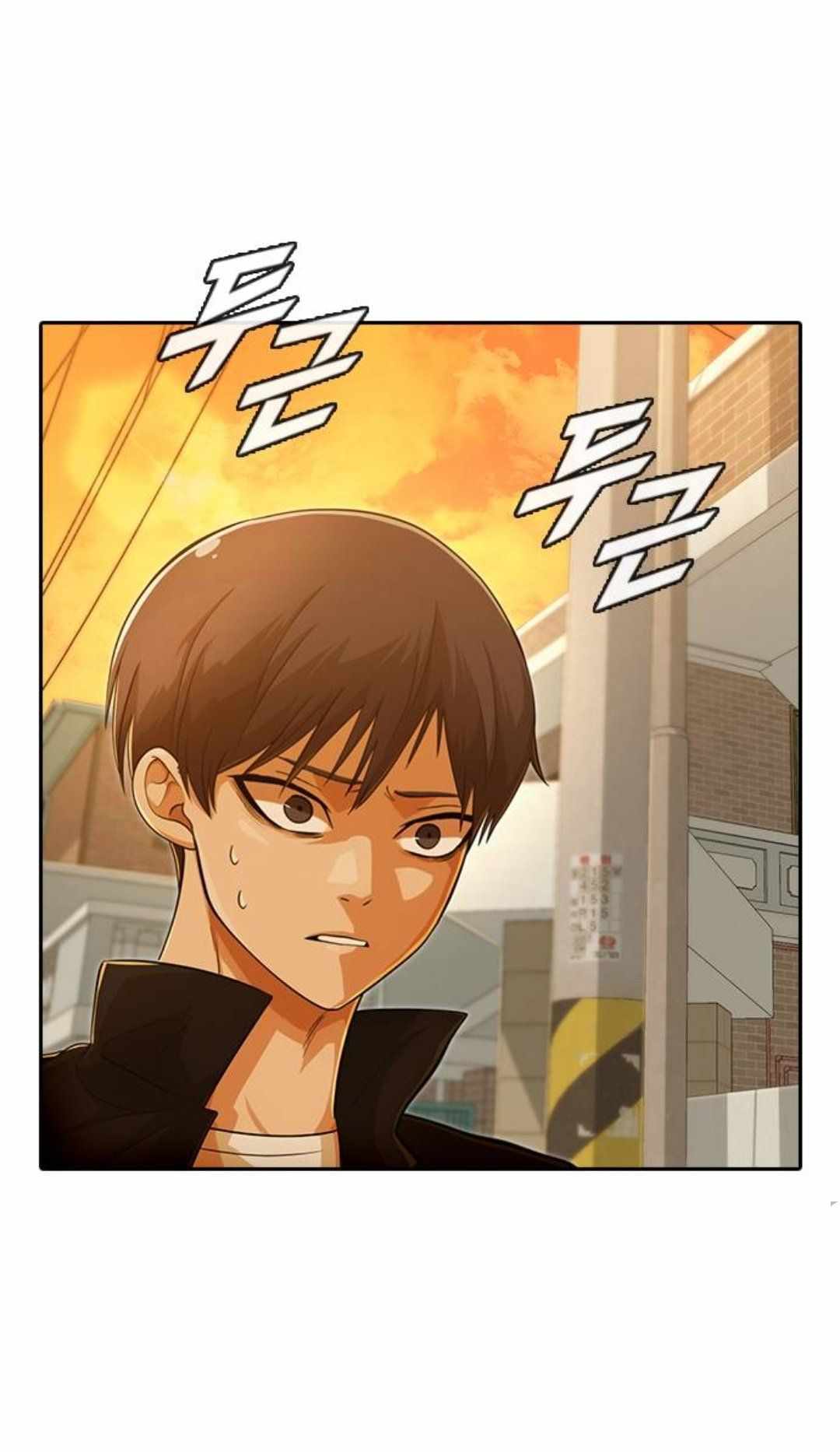 66
