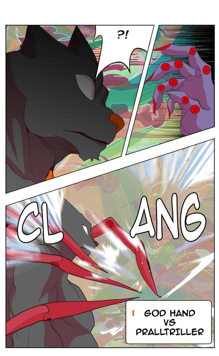 41