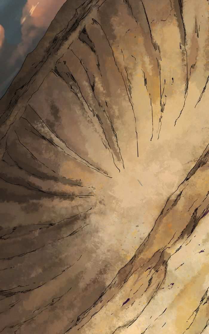 81